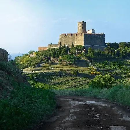 Les Jasmins Collioure