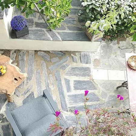 Apartment Les Jasmins